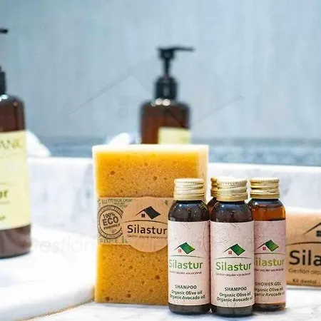 Begona By Silastur Apartment Gijón